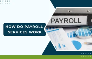 How do payroll services work – payroll file labeled “Payroll” with financial charts and reports, illustrating payroll processing, tax calculations, and employee payment management by Remire